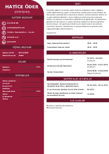 Beslenme Uzmanı Diyetisyen CV Örnekleri cv indir